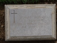 Struma Military Cemetery - Herlihy, T